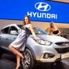 Hyundai-Kia      20%